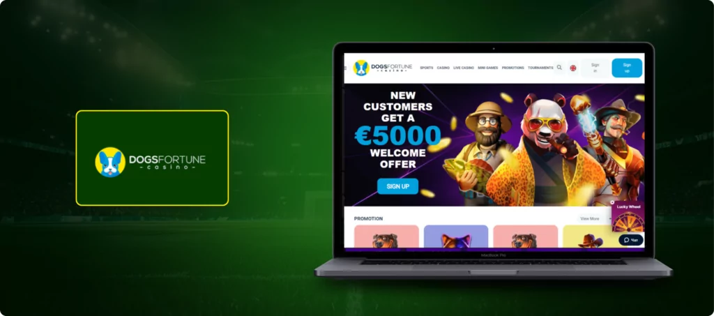 Dogsfortune Betting Site Banner